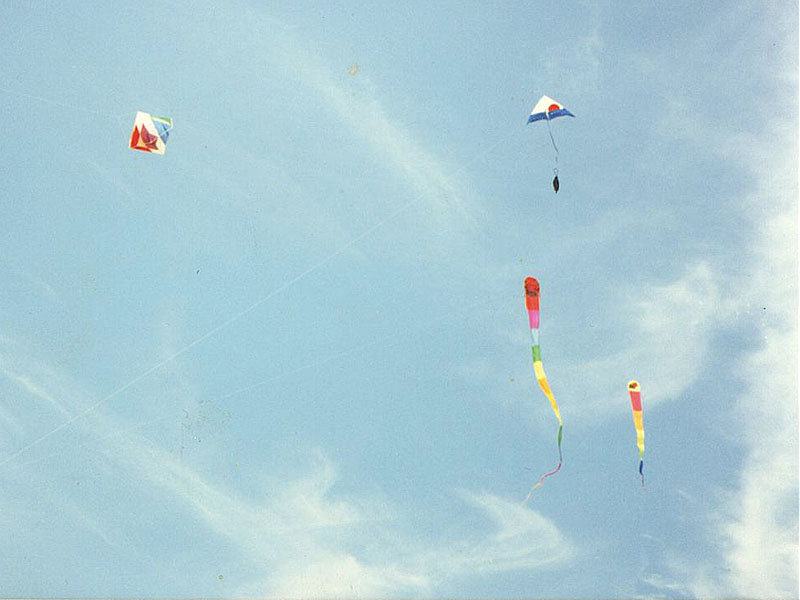 Kites In The Sky. Kites